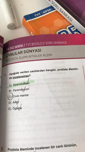 ES
TYT KPSS
A) Siyanobakteri
B) Paramesyum
C) Civik mantar
SORU BANKASI
YILDIZ SERİSİ/ TYT BİYOLOJİ SORU BANKASI
CANLILAR DÜNYASI
PROTISTA ÂLEMİ-BİTKİLER ÂLEMİ
D) Amip
E) Öglena
E
1. Aşağıda verilen canlılardan hangisi, protista âlemin-
de incelenemez?
2.