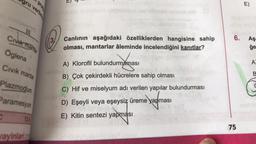 gru verilmi
Civik mantar
Öglena
Civik mantar
Plazmodium
Paramesyum
C
12A
wayinlarico
E)
Canlının aşağıdaki özelliklerden hangisine sahip
olması, mantarlar âleminde incelendiğini kanıtlar?
A) Klorofil bulundurmaması
B) Çok çekirdekli hücrelere sahip olması
C) Hif ve miselyum adı verilen yapılar bulundurması
24
D) Eşeyli veya eşeysiz üreme yapması
E) Kitin sentezi yapması
6.
75
E)
Aşa
ğe
A
B