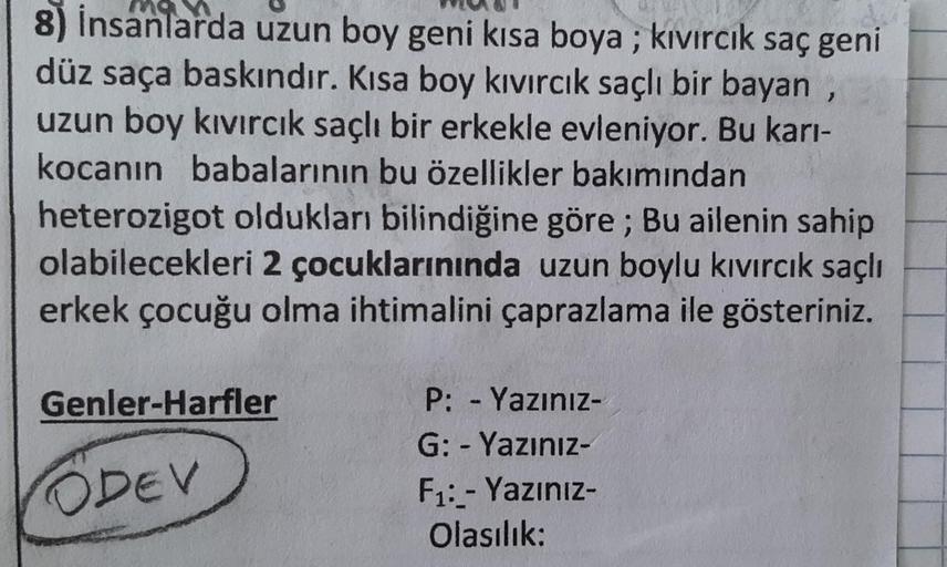 8) İnsanlarda uzun boy geni kısa boya; kıvırcık saç geni
düz saça baskındır. Kısa boy kıvırcık saçlı bir bayan,
uzun boy kıvırcık saçlı bir erkekle evleniyor. Bu karı-
kocanın babalarının bu özellikler bakımından
heterozigot oldukları bilindiğine göre; Bu 