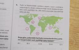 miştir.
isi vardır.
oranı, sıcak
er etkilidir.
kkate alın-
ayısı daha
kdeniz
anş Denizi
5. Tuzlu su biyomundaki canlıların yaşamı; suyun sıcaklığına,
yoğunluğuna, oksijen miktarına bağlı olarak değişkenlik gös-
terir. Canlı çeşitliliği 0 ile -200 metre arasındaki derinliklerde
daha çok olur.
||
IV
Buna göre, yukarıdaki haritada numaralandırılmış yerle-
rin hangisindeki canlı çeşitliliği daha fazladır?
A) I
B) II
C) III
D) IV
E) V