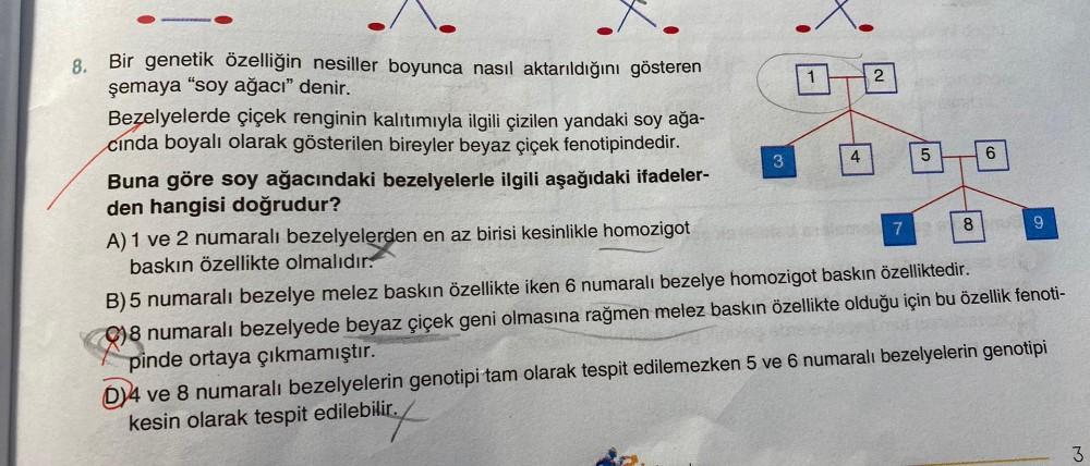 8.
Bir genetik özelliğin nesiller boyunca nasıl aktarıldığını gösteren
şemaya "soy ağacı" denir.
Bezelyelerde çiçek renginin kalıtımıyla ilgili çizilen yandaki soy ağa-
cında boyalı olarak gösterilen bireyler beyaz çiçek fenotipindedir.
Buna göre soy ağacı
