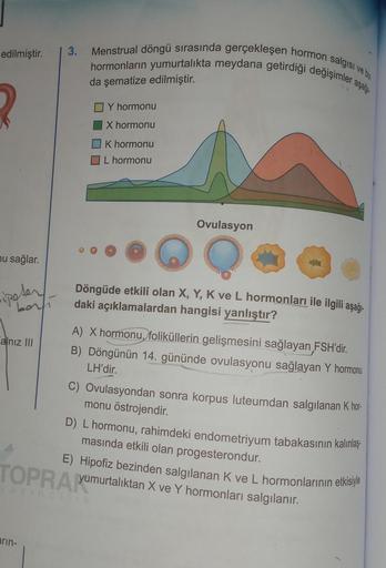 edilmiştir.
3
nu sağlar.
•ipeter
borli
alnız III
3.
arin-
Menstrual döngü sırasında gerçekleşen hormon salgısı ve bu
hormonların yumurtalıkta meydana getirdiği değişimler aşağı-
da şematize edilmiştir.
Y hormonu
X hormonu
K hormonu
L hormonu
Ovulasyon
Döng