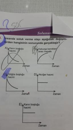 Solunum
Insanda soluk verme olayı aşağıdaki değişim-
lerden hangisinin sonucunda gerçekleşir?
A) Karın boşluğu
hacmi
Zaman
C) Göğüs boşluğu
hacmi
Zaman
Kaburga kemikleri
arası mesafe
D) Akciğer hacmi
E) Karın boşluğu
hacmi
Zaman
Zaman
Zaman