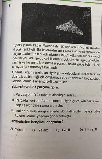 5.
1850'li yıllara kadar Manchester bölgesinde güve kelebekle-
ri açık renkliydi. Bu kelebekler açık renkli ağaç gövdelerinde
kuşlar tarafından fark edilmiyordu.1850'li yıllardan sonra sanayi
devrimiyle, kirliliğe duyarlı likenlerin yok olması, ağaç gövdel