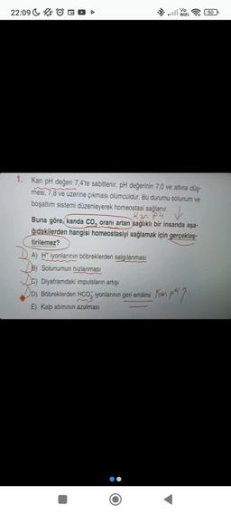 22:09
Vo
WiFi
1. Kan pH değeri 7,4'te sabitlenir. pH değerinin 7,0 ve altına düş-
mesi, 7,8 ve üzerine çıkması ölümcüldür. Bu durumu solunum ve
boşaltım sistemi düzenleyerek homeostasi sağlanır.
Kan PH
Buna göre, kanda CO, oranı artan sağlıklı bir insanda aşa-
ğıdakilerden hangisi homeostasiyi sağlamak için gerçekleş-
tirilemez?
A) H* iyonlarının böbreklerden salgılanması
B) Solunumun hızlanması
c) Diyaframdaki impulsların artışı
DD)
D) Böbreklerden HCO3 iyonlarının geri emilimi Kanp²2.
E) Kalp atiminin azalması
50