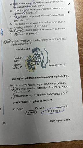 UĞUR
39
A) Kilcal damarlardan kaybedilen sivinin yeniden do-
laşıma kazandılmasını sağlar.
B) Toplardamar ve kılcal damarları bulunurken, atar-
damarlar bulunmaz.
C) Dokularda madde ve sivi birikiminin önlenmesinde
madde
görev alır.
D) Lenf damarlarının ya