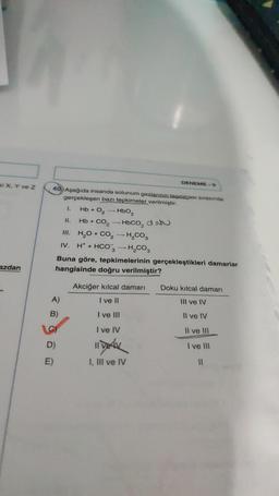 ki X, Y ve Z
azdan
40 Aşağıda insanda solunum gazlarının taşınması sırasında
gerçekleşen bazı tepkimeler verilmiştir.
A)
B)
D)
E)
1.
Hb + O₂ HbO₂
Hb + CO2 — HbCO, doa
H₂O + CO₂-H₂CO3
DENEME-9
11.
III.
IV. H+ + HCO3 → H₂CO3
Buna göre, tepkimelerinin gerçekleştikleri damarlar
hangisinde doğru verilmiştir?
Akciğer kılcal damarı Doku kılcal damarı
I ve II
III ve IV
I ve III
Il ve IV
I ve IV
Il ve III
I ve III
11
I, III ve IV