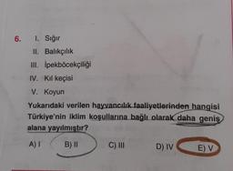 6. 1. Sığır
II. Balıkçılık
III. İpekböcekçiliği
IV. Kıl keçisi
V. Koyun
Yukarıdaki verilen hayvancılık faaliyetlerinden hangisi
Türkiye'nin iklim koşullarına bağlı olarak daha geniş
alana yayılmıştır?
A) I
B) II
C) III
D) IV
E) V