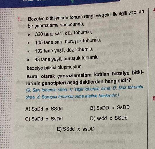 1.
Bezelye bitkilerinde tohum rengi ve şekli ile ilgili yapılan
bir çaprazlama sonucunda,
320 tane sarı, düz tohumlu,
105 tane sarı, buruşuk tohumlu,
102 tane yeşil, düz tohumlu,
33 tane yeşil, buruşuk tohumlu
•
•
bezelye bitkisi oluşmuştur.
Kural olarak ç