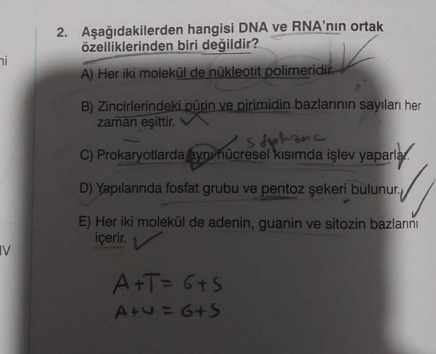 ni
IV
2. Aşağıdakilerden
hangisi DNA ve RNA'nın ortak
özelliklerinden biri değildir?
A) Her iki molekül de nükleotit polimeridir.
B) Zincirlerindeki pürin ve pirimidin bazlarının sayıları her
zaman eşittir.
Stiplezec
C) Prokaryotlarda aynı hücresel kısımda