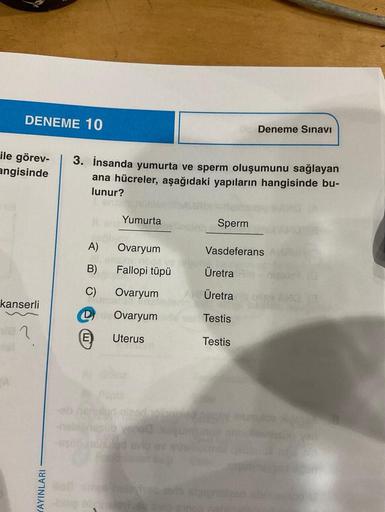 DENEME 10
ile görev-
angisinde
kanserli
AYINLARI
3. İnsanda yumurta ve sperm oluşumunu sağlayan
ana hücreler, aşağıdaki yapıların hangisinde bu-
lunur?
Br
Yumurta
selv
A)
riboz ve
B)
Fallopi tüpü
C)
Ovaryum
D Ovaryum
E Uterus
Ovaryum
Mivee
Deneme Sınavı
Sp