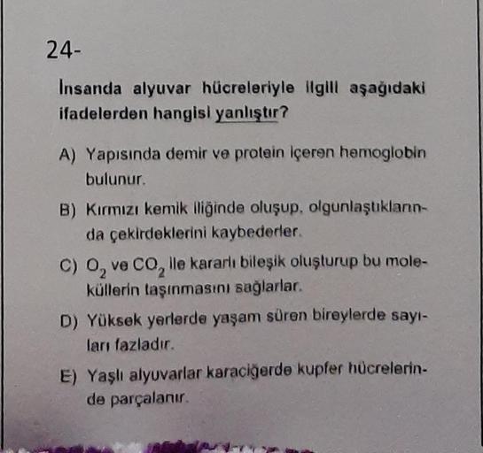 24-
Insanda alyuvar hücreleriyle ilgili aşağıdaki
ifadelerden hangisi yanlıştır?
A) Yapısında demir ve protein içeren hemoglobin
bulunur.
B) Kırmızı kemik iliğinde oluşup, olgunlaştıklann-
da çekirdeklerini kaybederler.
C) O₂ ve CO₂ lle kararlı bileşik olu