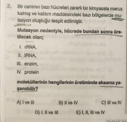 Bir canlının bazı hücreleri zararlı bir kimyasala maruz
kalmış ve kalıtım maddesindeki bazı bölgelerde mu-
tasyon oluştuğu tespit edilmiştir.
Mutasyon nedeniyle, hücrede bundan sonra üre-
tilecek olan;
1. TRNA,
II. tRNA,
III. enzim,
IV. protein
moleküllerinin hangilerinin üretiminde aksama ya-
şanabilir?
A) I ve III
D) I, II ve III
B) Il ve IV
C) Il ve IV
E) I, II, III ve IV