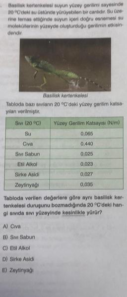 . Basilisk kertenkelesi suyun yüzey gerilimi sayesinde
20 °C'deki su üstünde yürüyebilen bir canlıdır. Su üze-
fine temas ettiğinde suyun içeri doğru esnemesi su
moleküllerinin yüzeyde oluşturduğu gerilimin etkisin-
dendir.
Basilisk kertenkelesi
Tabloda bazı sıvıların 20 °C'deki yüzey gerilim katsa-
yıları verilmiştir.
SIVI (20 °C)
Su
Civa
Sıvı Sabun
Etil Alkol
Sirke Asidi
Zeytinyağı
Yüzey Gerilim Katsayısı (N/m)
A) Civa
B) Sıvı Sabun
C) Etil Alkol
D) Sirke Asidi
E) Zeytinyağı
0,065
0,440
0,025
0,023
0,027
0,035
Tabloda verilen değerlere göre aynı basilisk ker-
tenkelesi duruşunu bozmadığında 20 °C'deki han-
gi sıvıda sıvı yüzeyinde kesinlikle yürür?