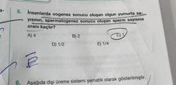 a-
2
5.
6.
İnsanlarda oogenez sonucu oluşan olgun yumurta sa-
yısının, spermatogenez sonucu oluşan sperm sayısına
oranı kaçtır?
A) 4
IOH
D) 1/2
B) 2
E) 1/4
C) 1
Aşağıda dişi üreme sistemi şematik olarak gösterilmiştir.