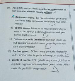 23. Aşağıdaki eşeysiz üreme çeşitleri ve açıklamaları ile
ilgili eşleştirmelerden hangisi yanlıştır?
A) Bölünerek üreme: Tek hücreli ve basit çok hücreli
canlılarda mitoz bölünmeler ile canlann ikiye bölün-
mesidir.
anutang i
B) Sporla üreme: Mitoz ya da mayoz bölünmeler ile
oluşturulan sporun döllenmeden çimlenerek yeni
canlıyı oluşturmasıdır.
D
C) Rejenerasyon ile üreme: Bir canlıdan kopan vü-
cut parçalarının eksik kısmını tamamlayarak yeni
canlı oluşturmasıdır.
D) Partenogenez: Döllenmemiş yumurta hücresinin
mitoz bölünmeler ile yeni canlı oluşturmasıdır.
E) Vejetatif üreme: Kök, gövde ve yaprak gibi üreme
dışı bitki organlarında meydana gelen mitoz bölün-
meler ile yeni bitki oluşmasıdır.
25