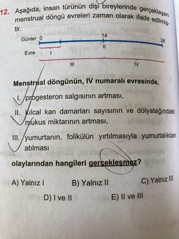 12. Aşağıda, insan türünün dişi bireylerinde gerçekleşen
menstrual döngü evreleri zaman olarak ifade edilmiş-
tir.
Günler 0
Evre
|||
14
A) Yalnız I
||
Menstrual döngünün, IV numaralı evresinde,
Joppe
/progesteron salgısının artması,
D) I ve II
IV
II. Kılcal kan damarları sayısının ve dölyatağındaki
mukus miktarının artması,
III./yumurtanın, folikülün yırtılmasıyla yumurtalıktan
atılması
olaylarından hangileri gerçekleşmez?
B) Yalnız II
28
C) Yalnız III
E) II ve III