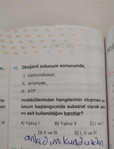 n,
eş-
an
10. Oksijenli solunum sonucunda,
I. karbondioksit,
II. amonyak,
III. ATP
moleküllerinden hangilerinin oluşması so-
lunum başlangıcında substrat olarak ami-
no asit kullanıldığını kanıtlar?
A) Yalnız I
B) Yalnız II
C) I vell
D) II ve III
E) I, II