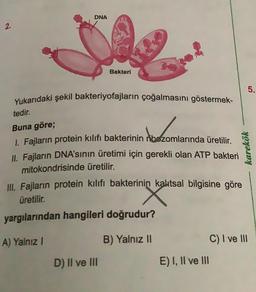 2.
DNA
Bakteri
Yukarıdaki şekil bakteriyofajların çoğalmasını göstermek-
tedir.
Buna göre;
bezomlar
1. Fajların protein kılıfı bakterinin bozomlarında üretilir.
II. Fajların DNA'sının üretimi için gerekli olan ATP bakteri
mitokondrisinde üretilir.
D) II ve III
III. Fajların protein kılıfı bakterinin kalıtsal bilgisine göre
üretilir.
yargılarından hangileri doğrudur?
A) Yalnız I
B) Yalnız II
E) I, II ve III
karekök
5.
C) I ve III