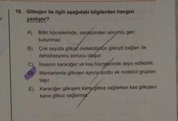 16. Glikojen ile ilgili aşağıdaki bilgilerden hangisi
yanlıştır?
A) Bitki hücrelerinde, sentezinden sorumlu gen
bulunmaz.
B) Çok sayıda glikoz molekülünün glikozit bağları ile
dehidrasyonu sonucu oluşur.
C)
Insanın karaciğer ve kas hücrelerinde depo edilebilir.
D) Mantarlarda glikojen ayrıca azotlu ek molekül grupları
taşır.
E) Karaciğer glikojeni kana glikoz sağlarken kas glikojeni
kana glikoz sağlamaz.