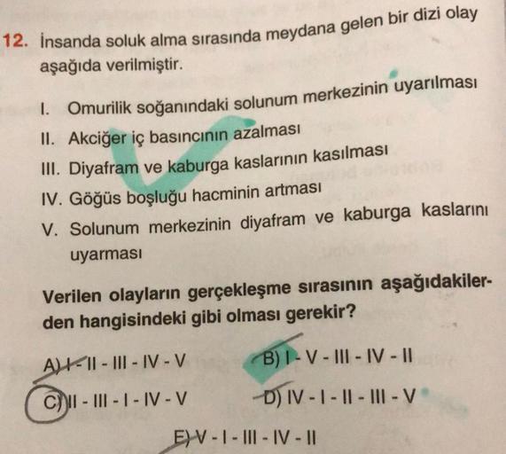 12. İnsanda soluk alma sırasında meydana gelen bir dizi olay
aşağıda verilmiştir.
1. Omurilik soğanındaki solunum merkezinin uyarılması
II. Akciğer iç basıncının azalması
III. Diyafram ve kaburga kaslarının kasılması
IV. Göğüs boşluğu hacminin artması
V. S