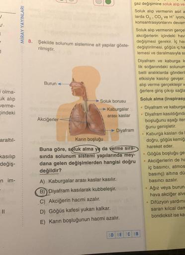 J
V
1
1
olma-
uk alıp
verme-
çindeki
araltıl-
kasılıp
değiş-
n im-
||
MİRAY YAYINLARI
Şekilde solunum sistemine ait yapılar göste-
rilmiştir.
Burun
Akciğerler
4866
Soluk borusu
Kaburgalar
arası kaslar
→→Diyafram
Karın boşluğu
Buna göre, soluk alma ya da ve