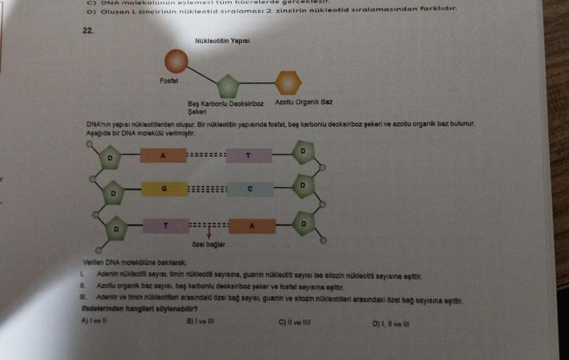 C) DNA molekülünün eşlemesi tüm hücrelerde gerçekleşir.
D) Oluşan L zincirinin nükleotid sıralaması 2. zincirin nükleotid sıralamasından farklıdır.
22.
Fosfat
D
DNA'nın yapısı nükleotitlerden oluşur. Bir nükleotitin yapısında fosfat, beş karbonlu deoksirib