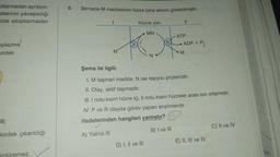 plazmadan ayrılıyor.
etlerinin yavaşladığı
ilde sitoplazmadan
Oplazma
kirdek
ili;
kirdek çıkarıldığı
ürdüremez.
3.
Şemada M maddesinin hücre içine alınımı gösterilmiştir.
M
Hücre zarı
MN
D) I, II ve III
N
11
ATP
ADP + P₁
M
Şema ile ilgili;
1. M taşınan madde, N ise taşıyıcı proteindir.
II. Olay, aktif taşımadır..
III. I nolu kısım hücre içi, Il nolu kısım hücreler arası Sıvı ortamıdır.
IV. P ve R olayda görev yapan enzimlerdir.
ifadelerinden hangileri yanlıştır?
A) Yalnız III
B) I ve III
E) II, III ve IV
C) II ve IV