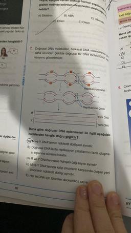 m sonucu oluşan hüc-
ceki yapıdan farklı ol
werden hangisidir?
N
dirime yardımcı
si doğru de-
salgılar vater
e taşınır.
geden emi-
76
MIRAY YAYINLARI
M
kiset hormon cesitlerinden
gisinin metinde belirtilen olaya neden olabileceğini d
nebilir?
Y
A) Sitokinin
B) ABA
D) Etilen
E) Oksin
7. Doğrusal DNA molekülleri, halkasal DNA moleküllerine
daha uzundur. Şekilde doğrusal bir DNA molekülünün
kasyonu gösterilmiştir.
C) Giberellin
Replikasyon çatalı
Replikasyon çatalı
Yeni DNA
Yeni DNA
Buna göre doğrusal DNA eşlenmeleri ile ilgili aşağıdaki
ifadelerden hangisi doğru değildir?
A) M ve Y DNA'larının nükleotit dizilişleri aynıdır.
B) Doğrusal DNA'larda replikasyon çatallarının fazla oluşma-
si eşlenme süresini kısaltır.
C) M ve Y DNA'larındaki hidrojen bağ sayısı aynıdır.
D) M ve Y DNA'larında kalıp zincirlerin karşısında oluşan yeni
zincirlerin nükleotit dizilişi aynıdır.
E) Her iki DNA için tüketilen deoksiriboz sayısı
Humoral b
Aktif bağın
Timus be
(+: Özellic
Buna gör
reken işa
A)
boo
1
X
+
9. Çevre
larak
AY