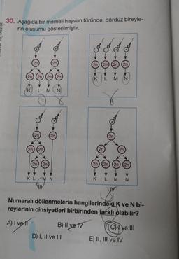 30. Aşağıda bir memeli hayvan türünde, dördüz bireyle-
rin oluşumu gösterilmiştir.
2n
K
2n
2n
2n 2n 2n
2n 2n
2n
2n
M N
2n
KL M N
!!!
B) II ve IV
2n 2n 2n 2n
D) I, II ve III
K
2n
K
L M N
6
2n
2n
2n 2n 2n 2n
Numaralı döllenmelerin hangilerindeki K ve N bi-
reylerinin cinsiyetleri birbirinden farklı olabilir?
A) I vel
L MN
C ve III
E) II, III ve IV