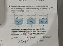 ||
14. Doğal indikatörlerden olan kırmızı lahana suyu bir
baza eklendiğinde kırmızı lahana suyunun rengi
mavi-yeşil renge döner.
CH3OH
Ren
NH3
D) Ive ll
Ast
CH₂COOH
1
Buna göre, kırmızı lahana suyu yukarıdaki
maddelerden hangilerinin sulu çözeltilerine
eklenirse çözeltinin rengi mavi-yeşil olur?
A) Yalnız I
B) Yalnız
be
C) Yalnız III
E) II ve III