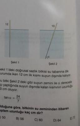 12
Şekil 1
Şekil 2
ekil 1'deki doğrusal sazlık bitkisi su tabanına dik
urumda iken 12 cm lik kısmı suyun dışında kalıyor.
10
Eu bitki Şekil 2'deki gibi suyun zemini ile a derecelik
ç yaptığında suyun dışında kalan kısmının uzunluğu
0 cm oluyor.
tana
24
7
Iduğuna göre, bitkinin su zemininden itibaren
Oplam uzunluğu kaç cm dir?
50
B) 56
C) 60
D) 64
E) 72