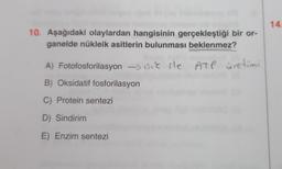 10. Aşağıdaki olaylardan hangisinin gerçekleştiği bir or-
ganelde nükleik asitlerin bulunması beklenmez?
sikile ATP üretimi
A) Fotofosforilasyon
B) Oksidatif fosforilasyon
C) Protein sentezi
D) Sindirim
E) Enzim sentezi
14