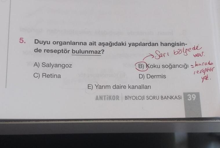 5. Duyu organlarına ait aşağıdaki yapılardan hangisin-
de reseptör bulunmaz?
A) Salyangoz
C) Retina
was.
→ Sarı bölgede
B) Koku soğancığı burada
D) Dermis
reseptor
yok.
E) Yarım daire kanalları
ANTIKOR BIYOLOJI SORU BANKASI 39