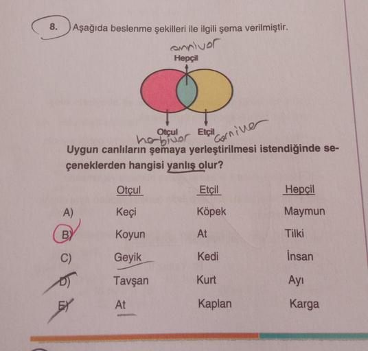 8.
Aşağıda beslenme şekilleri ile ilgili şema verilmiştir.
anniver
Hepçil
Otçul Etçil
or
Uygun canlıların şemaya yerleştirilmesi istendiğinde se-
Cornine
çeneklerden hangisi yanlış olur?
A)
BY
C)
Otçul
Keçi
Koyun
Geyik
Tavşan
At
Etçil
Köpek
At
Kedi
Kurt
Ka