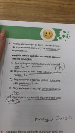 4. İnsanda zigottan ergin bir bireyin oluşumu sırasın-
da segmentasyon, hücre göçü ve farklılaşma gibi
olaylar gözlenir.
Aşağıda verilen özelliklerden hangisi segmen-
tasyona ait değildir?
A) Segmentasyon sırasında hücre büyümesi gőz-
lenir.
B) Segmentasyon hızlı mitoz bölünme sürecini
kapsar.
C) Segmentasyon sırasında kalıtsal bilgide deği-
şiklik gözlenmez.
D) Segmentasyon sonucu eşit büyüklükte hücreler
oluşur.
E) Segmentasyon sırasında zigottaki besin tüketi-
tir.
Anong Grejürik
5. Aşağıdaki tabloda canlılarda oluşturulan azotlu atık