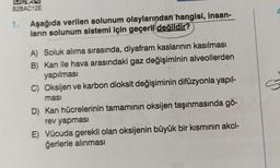 B2BAC12E
1. Aşağıda verilen solunum olaylarından hangisi, insan-
ların solunum sistemi için geçerli değildir?
A) Soluk alıma sırasında, diyafram kaslarının kasılması
B) Kan ile hava arasındaki gaz değişiminin alveollerden
yapılması
C) Oksijen ve karbon dioksit değişiminin difüzyonla yapıl-
masi
D) Kan hücrelerinin tamamının oksijen taşınmasında gö-
rev yapması
E) Vücuda gerekli olan oksijenin büyük bir kısmının akci-
ğerlerle alınması
A