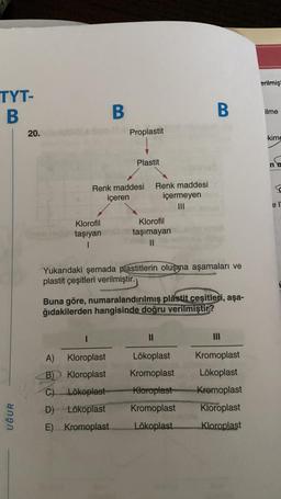 TYT-
B
UĞUR
20.
Klorofil
taşıyan
1
B
Proplastit
Renk maddesi
içeren
Plastit
1
A) Kloroplast
B) Kloroplast
C)
Lökoplast-
D)
Lökoplast
E)
Kromoplast
Renk maddesi
içermeyen
|||
Klorofil
taşımayan
||
Yukarıdaki şemada plastitlerin oluşma aşamaları ve
plastit çeşitleri verilmiştir.
Buna göre, numaralandırılmış plàstit çeşitleri, aşa-
ğıdakilerden hangisinde doğru verilmiştir?
II
B
Lökoplast
Kromoplast
Kloroplast
Kromoplast
Lökoplast
III
Kromoplast
Lökoplast
Kromoplast
Kloroplast
Kloroplast
erilmişt
ilme
kime
no
el