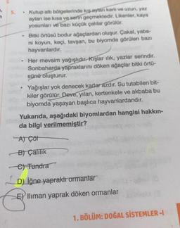 5.
Kutup altı bölgelerinde kış ayları karlı ve uzun, yaz
ayları ise kısa ve serin geçmektedir. Likenler, kaya
yosunları ve bazı küçük çalılar görülür.
Bitki örtüsü bodur ağaçlardan oluşur. Çakal, yaba-
ni koyun, keçi, tavşan, bu biyomda görülen bazı
hayvanlardır.
Her mevsim yağışlıdır. Kışlar ılık, yazlar serindir.
Sonbaharda yapraklarını döken ağaçlar bitki örtü-
sünü oluşturur.
Yağışlar yok denecek kadar azdır. Su tutabilen bit-
kiler görülür. Deve, yılan, kertenkele ve akbaba bu
biyomda yaşayan başlıca hayvanlardandır.
Yukarıda, aşağıdaki biyomlardan hangisi hakkın-
da bilgi verilmemiştir?
A) Çöl
B) Çalilik
C) Tundra
D) İğne yapraklı ormanlar
E) Iliman yaprak döken ormanlar
1. BÖLÜM: DOĞAL SİSTEMLER-I