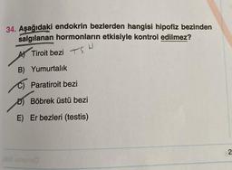 34. Aşağıdaki endokrin bezlerden hangisi hipofiz bezinden
salgılanan hormonların etkisiyle kontrol edilmez?
Tiroit bezi S
B) Yumurtalık
C) Paratiroit bezi
Böbrek üstü bezi
E) Er bezleri (testis)
6 omened
2