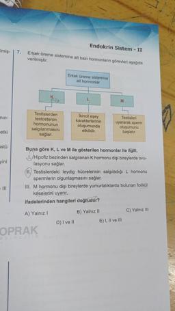 Imiş-
min-
etki
istü
yini
7. Erkek üreme sistemine ait bazı hormonların görevleri aşağıda
verilmiştir.
RSH
Testislerden
testosteron
hormonunun
salgılanmasını
sağlar.
Endokrin Sistem - II
Erkek üreme sistemine.
ait hormonlar
OPRAK
Ikincil eşey
karakterlerinin
oluşumunda
etkilidir.
M
Buna göre K, L ve M ile gösterilen hormonlar ile ilgili,
1./Hipofiz bezinden salgılanan K hormonu dişi bireylerde ovu-
lasyonu sağlar.
D) I ve II
Testisleri
uyararak sperm
oluşumunu
başlatır.
1. Testislerdeki leydig hücrelerinin salgıladığı L hormonu
spermlerin olgunlaşmasını sağlar.
III. M hormonu dişi bireylerde yumurtalıklarda bulunan folikül
késelerini uyarır.
ifadelerinden hangileri doğrudur?
A) Yalnız I
B) Yalnız II
E) I, II ve III
C) Yalnız III