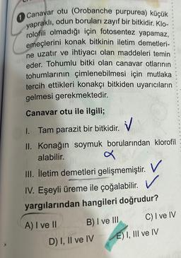 1 Canavar otu (Orobanche purpurea) küçük
yapraklı, odun boruları zayıf bir bitkidir. Klo-
rolofili olmadığı için fotosentez yapamaz,
emeçlerini konak bitkinin iletim demetleri-
ne uzatır ve ihtiyacı olan maddeleri temin
eder. Tohumlu bitki olan canavar otlarının
tohumlarının çimlenebilmesi için mutlaka
tercih ettikleri konakçı bitkiden uyarıcıların
gelmesi gerekmektedir.
Canavar otu ile ilgili;
1. Tam parazit bir bitkidir.
✓
II. Konağın soymuk borularından klorofil
alabilir.
d
III. İletim demetleri gelişmemiştir. V
V
IV. Eşeyli üreme ile çoğalabilir.
yargılarından hangileri doğrudur?
A) I ve II
B) I ve III
D) I, II ve IV
C) I ve IV
E) I, III ve IV