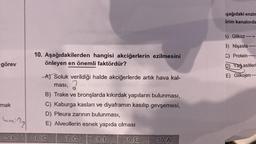 görev
mak
kimin?
5. E
10. Aşağıdakilerden hangisi akciğerlerin ezilmesini
önleyen en önemli faktördür?
A) Soluk verildiği halde akciğerlerde artık hava kal-
2
ması,
B) Trake ve bronşlarda kıkırdak yapıların bulunması,
C) Kaburga kasları ve diyaframın kasılıp gevşemesi,
D) Pleura zarının bulunması,
E) Alveollerin esnek yapıda olması
7.C 8. E
6. C
9. E
10. A
şağıdaki enzim
lirim kanalında
A) Glikoz-
-
3) Nişasta-
C) Protein
D) Yağ asitleri
E) Glikojen-