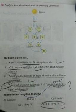 19. Aşağıda kara ekosistemine ait bir besin ağı verilmiştir:
A
X
Işık
Z
D) I, III ve IV
Güneş
KK
B
M
Bu besin ağı ile ilgili,
I. X ve Y türleri birinci trofik düzeyde yer alır.
II. Y'nin sayıca azalması Z ve B türlerinin besin rekabeti-
ni artırır.
III. Zehirli madde birikimi en fazla M türüne ait canlılarda
gerçekleşir
IV. Zürünün sayısının azalması, T türünün eyokütle artı-
şipa neden olabilir.
ifadelerinden hangileri doğrudur?
A) Yalnız II
B) I ve II
C) III ve IV
E) I, II, III ve IV