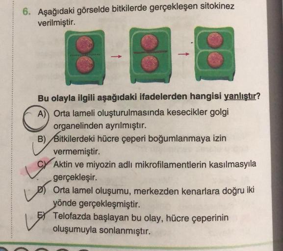 6. Aşağıdaki görselde bitkilerde gerçekleşen sitokinez
verilmiştir.
Bu olayla ilgili aşağıdaki ifadelerden hangisi yanlıştır?
A) Orta lameli oluşturulmasında kesecikler golgi
organelinden ayrılmıştır.
B)
Bitkilerdeki hücre çeperi boğumlanmaya izin
vermemiş