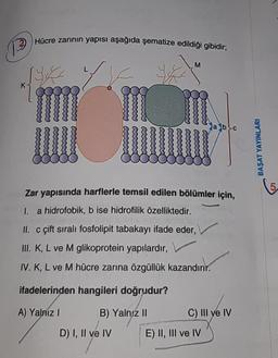 Hücre zarının yapısı aşağıda şematize edildiği gibidir;
ryck
!!!!!
11
D) I, II ve IV
M
Zar yapısında harflerle temsil edilen bölümler için,
I. a hidrofobik, b ise hidrofilik özelliktedir.
II. c çift sıralı fosfolipit tabakayı ifade eder,
III. K, L ve M glikoprotein yapılardır,
IV. K, L ve M hücre zarına özgüllük kazandırır.
ifadelerinden hangileri doğrudur?
A) Yalnız I
B) Yalnız II
a b c
C) III ve IV
E) II, III ve IV
BAŞAT YAYINLARI
5