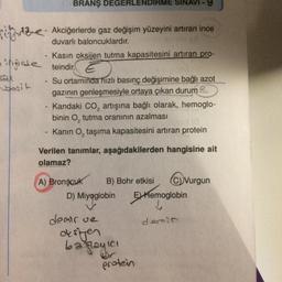 de
bosit
BRANŞ DEGERLENDIRME SINAVI
Akciğerlerde gaz değişim yüzeyini artıran ince
duvarlı baloncuklardır.
Kasın oksijen tutma kapasitesini artıran pro-
teindir.
Su ortamında hızlı basınç değişimine bağlı azot
gazının genleşmesiyle ortaya çıkan durum
Kandaki CO₂ artışına bağlı olarak, hemoglo-
binin O, tutma oranının azalması
13(0
Kanın O₂ taşıma kapasitesini artıran protein
Verilen tanımlar, aşağıdakilerden hangisine ait
olamaz?
A) Bronşcuk B) Bohr etkisi
D) Miyoglobin
Miyggle
demir ve
oksijen
bağlayıcı
Vurgun
EXHemoglobin
4
demir
protein