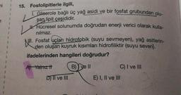 15. Fosfolipitlerle ilgili,
1. Gliserole bağlı üç yağ asidi ve bir fosfat grubundan olu-
L
şan lipit çeşididir.
Hücresel solunumda doğrudan enerji verici olarak kulla-
nılmaz.
N.
Fosfat uçları hidrofobik (suyu sevmeyen), yağ asitlerin-
den oluşan kuyruk kısımları hidrofiliktir (suyu seven).
ifadelerinden hangileri doğrudur?
A) Yalnız t
B) ve Il
D) II ve III
C) I ve III
E) I, II ve III