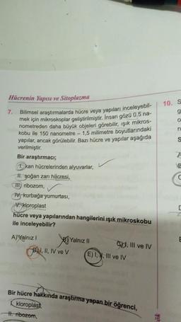 Hücrenin Yapısı ve Sitoplazma
Bilimsel araştırmalarda hücre veya yapıları inceleyebil-
mek için mikroskoplar geliştirilmiştir. Insan gözü 0.5 na-
nometreden daha büyük objeleri görebilir, ışık mikros-
kobu ile 150 nanometre - 1,5 milimetre boyutlarındaki
yapılar, ancak görülebilir. Bazı hücre ve yapılar aşağıda
verilmiştir.
7.
Bir araştırmacı;
1 kan hücrelerinden alyuvarlar,
11. soğan zarı hücresi,
III ribozom,
PV, kurbağa yumurtası,
V. kloroplast
hücre veya yapılarından hangilerini ışık mikroskobu
ile inceleyebilir?
A)Yalnız I
I, II, IV ve V
II. ribozom,
Yalnız II
C, III ve IV
E) I, 4, III ve IV
Bir hücre hakkında araştırma yapan bir öğrenci,
kloroplast,
10. S
g
O
n
S
A
C
C
E