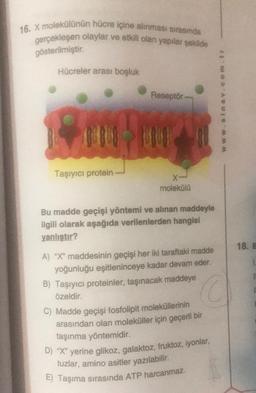 16. X molekülünün hücre içine alınması sırasında
gerçekleşen olaylar ve etkili olan yapılar şekilde
gösterilmiştir.
Hücreler arası boşluk
Taşıyıcı protein
Reseptör-
X-
molekülü
Bu madde geçişi yöntemi ve alınan maddeyle
ilgili olarak aşağıda verilenlerden hangisi
yanlıştır?
www.sinav.com.tr
A) "X" maddesinin geçişi her iki taraftaki madde
yoğunluğu eşitleninceye kadar devam eder.
B) Taşıyıcı proteinler, taşınacak maddeye
özeldir.
C
C) Madde geçişi fosfolipit moleküllerinin
arasından olan moleküller için geçerli bir
taşınma yöntemidir.
D) "X" yerine glikoz, galaktoz, fruktoz, iyonlar,
tuzlar, amino asitler yazılabilir.
E) Taşıma sırasında ATP harcanmaz.
18. E